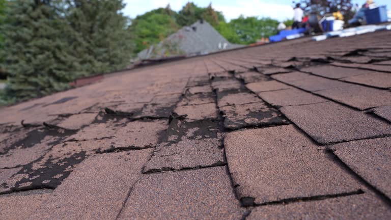Best Roof Maintenance and Cleaning  in Bell Nyon, CA