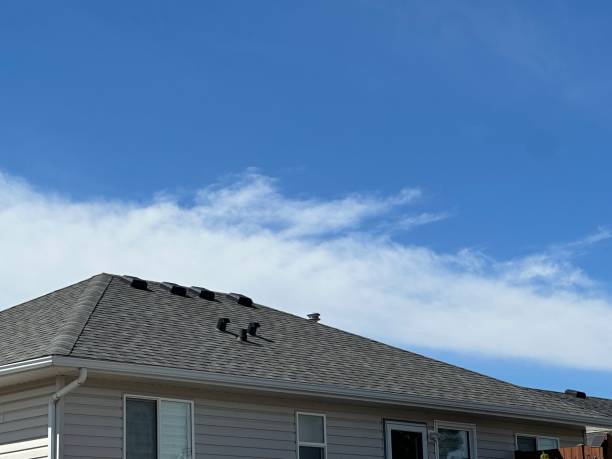 Best Sheet Metal Roofing  in Bell Nyon, CA